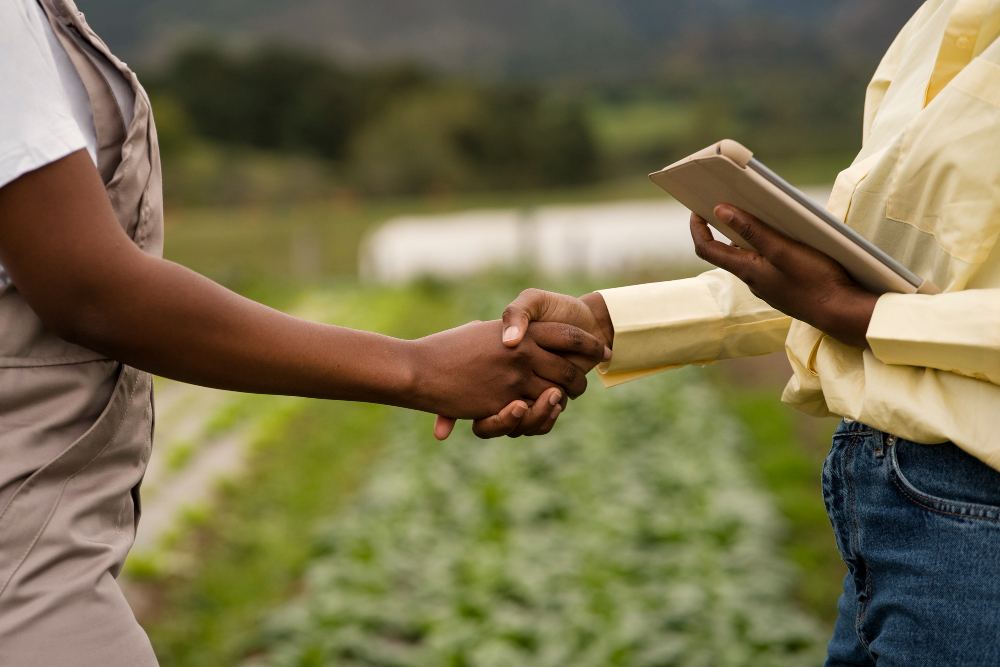 Pessoa ajudando outra a cruzar uma trilha em ambiente rural, com aperto de mãos e gesto de apoio no contexto de cooperação e cuidado ao ar livre.